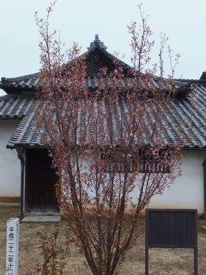 全体写真