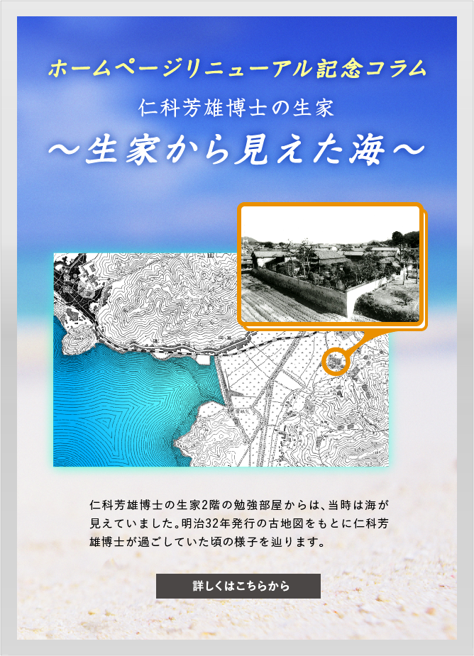 リニューアル記念コラム「生家から見えた海」