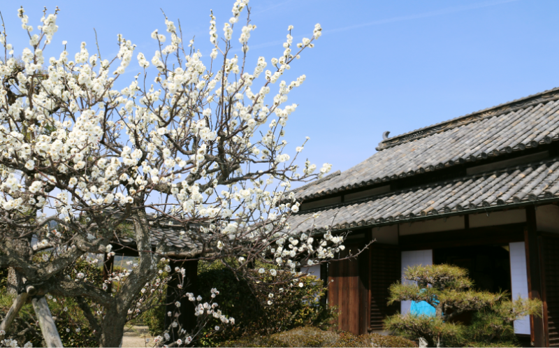 ▲ 敷地内の庭園には、四季折々の花木が花を咲かせます